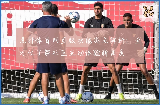 虎扑体育网页版功能亮点解析：全方位了解社区互动体验新高度