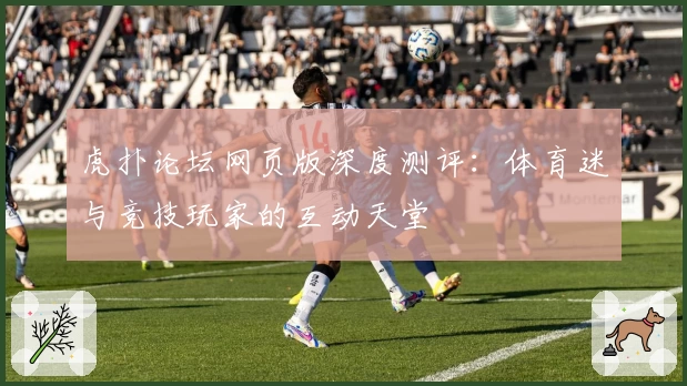 虎扑论坛网页版深度测评:体育迷与竞技玩家的互动天堂