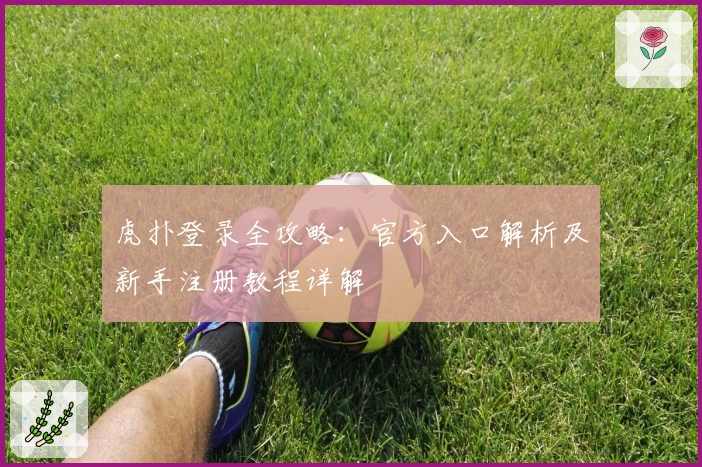 虎扑登录全攻略：官方入口解析及新手注册教程详解